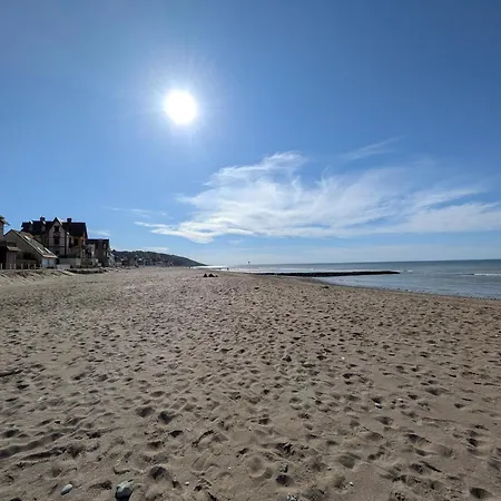 Superbe Carmen, Magnifique Vue Mer, Acces Direct Plage, Proche Deauville *
